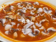 -青花椒花椒鱼(合生汇店)