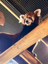 -Zoolung Zoolung动物主题公园(海信广场店)