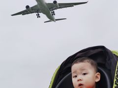 -空港花田景区