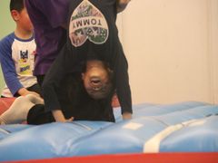 -小小运动馆(浦江店)