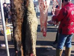 -丁香湖丁香小镇Citypark滑雪公园戏雪嘉年华