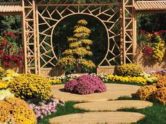 -上海共青森林公园