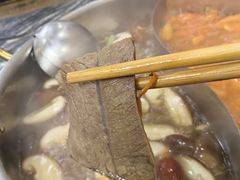 -乳仔牛牦牛汤锅 烤羊排(松潘古城店)