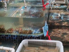 -天盛海鲜烧烤大排档·本地小海鲜·牟平腿穗子(幸福店)