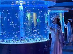 -海合安成都极地海洋公园