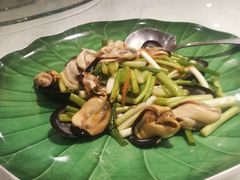 -索菲亚国际大酒店