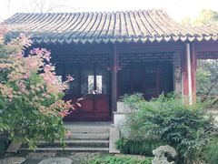 -秋霞圃