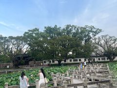 -江心屿景区