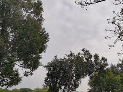 -松山湖风景区松湖烟雨
