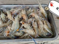 -大象营野Life营地·钓虾(坦尾店)