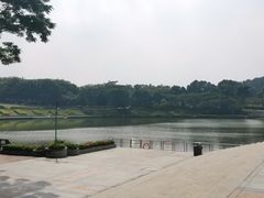 -东莞植物园