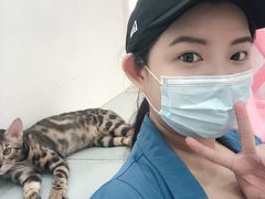 -糯米喵星人·撸猫猫舍咖啡馆(西市场嘉华店)