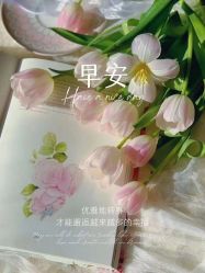 -LUNA皮相美·骨相美高级美感