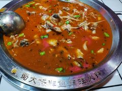 -蛙一刀·麻椒鱼火锅(金仙桥店)