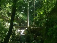 -牛背梁国家森林公园