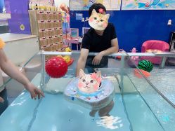 -海豚啵啵体智能游泳馆(惠山万达广场店)