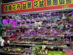 -花鸟鱼虫鲜花绿植市场(玉泉路店)