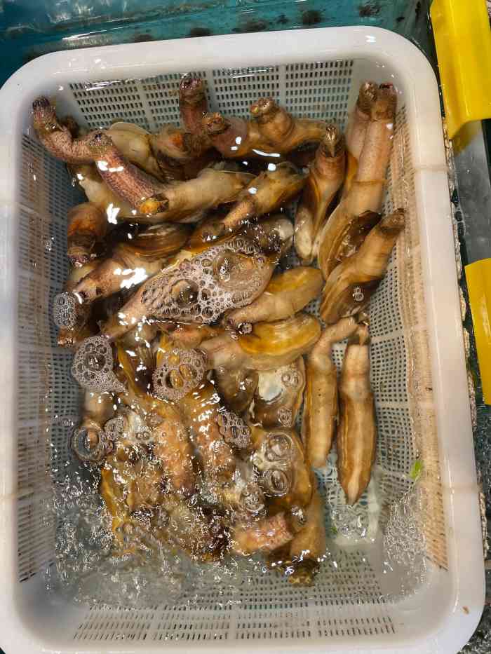 星龙海鲜(望江东路店)-"星龙海鲜,这家店,没得说啊.只能说,下次.