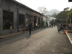 -凤凰御元艺术基地