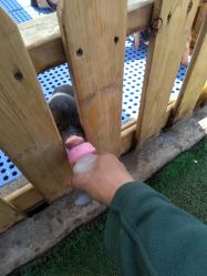 -萌宠亲子动物乐园(槐房万达店)