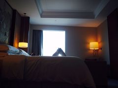 iphone_upload_pic-上海嘉定喜来登酒店