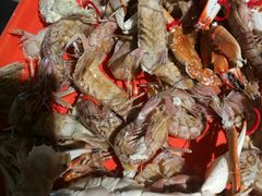 -蓝珊甄选海鲜自助·火锅大排档(近阿那亚店)