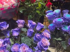 -ROSEONLY诺誓(磐基中心店)