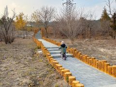 -白水寺森林公园