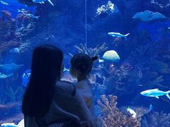 -多彩贵州城极地海洋世界