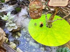 -赛格国际购物中心(小寨店)