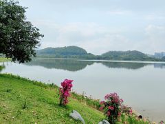 -水濂山水库景点停车场