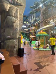 -卡通尼·Safari非洲探索乐园·生日会(金桥国际商业广场店)