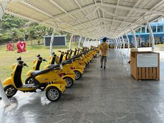-放鸡岛生态旅游国际度假区