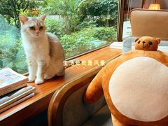 -咖法森林·咖啡  酒吧(天河店)