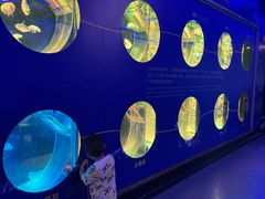 -海合安成都极地海洋公园