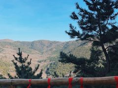 -金龙寺国家森林公园