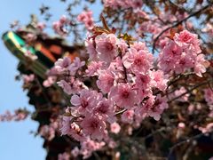 -北京市劳动人民文化宫(太庙)