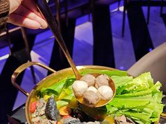 -Darling Queen·Mini·Live·House