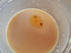 -福巷湘食小馆·猛火现炒(上海首店)