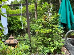 -达蓬山温泉