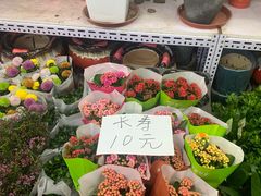 -花鸟鱼虫鲜花绿植市场(玉泉路店)