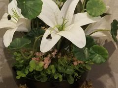 -金陵暴走小龙虾·迷踪蟹(凯德MALL店)