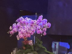 -三利音·玖弄小鲜(浦东嘉里城店)
