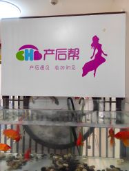 -产后帮产后修复(首城国际店)