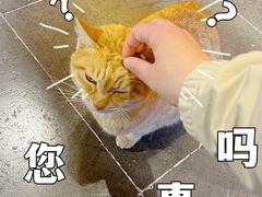 -龙华寺