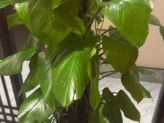 -二分八云雁阁•新晋菜大同味(长治路店)