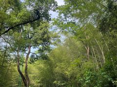 -石燕湖生态旅游景区