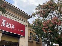 -青鹤谷(苏州店)