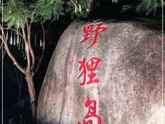 -野狸岛