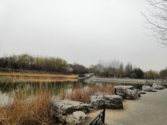 -大兴滨河森林公园